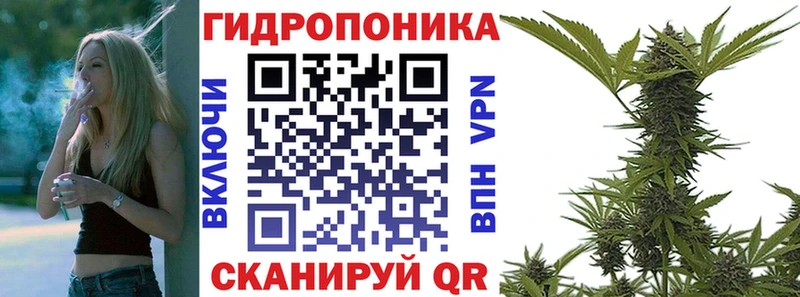 Все наркотики Александровское Кокаин Мефедрон ГАШИШ Кодеин Каннабис
