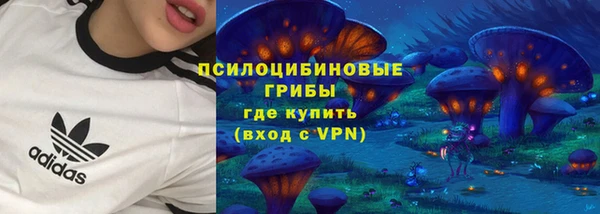 мяу мяу мука Ельня