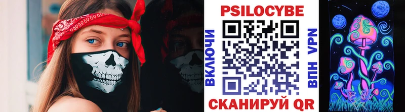 Псилоцибиновые грибы Psilocybine cubensis  Александровское 